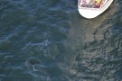 Missing Picture